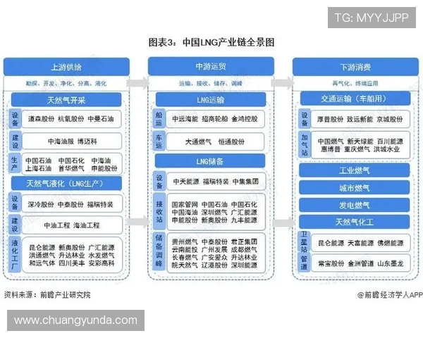 独家深度解析LNG市场竞争策略与战术对比分析